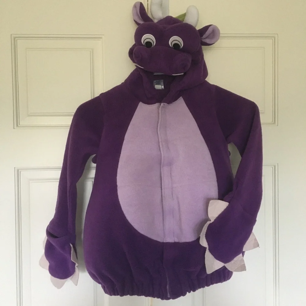 Kids Costume (5T) Flying Dragon 2 piece Purple Jacket and Pants Old Navy